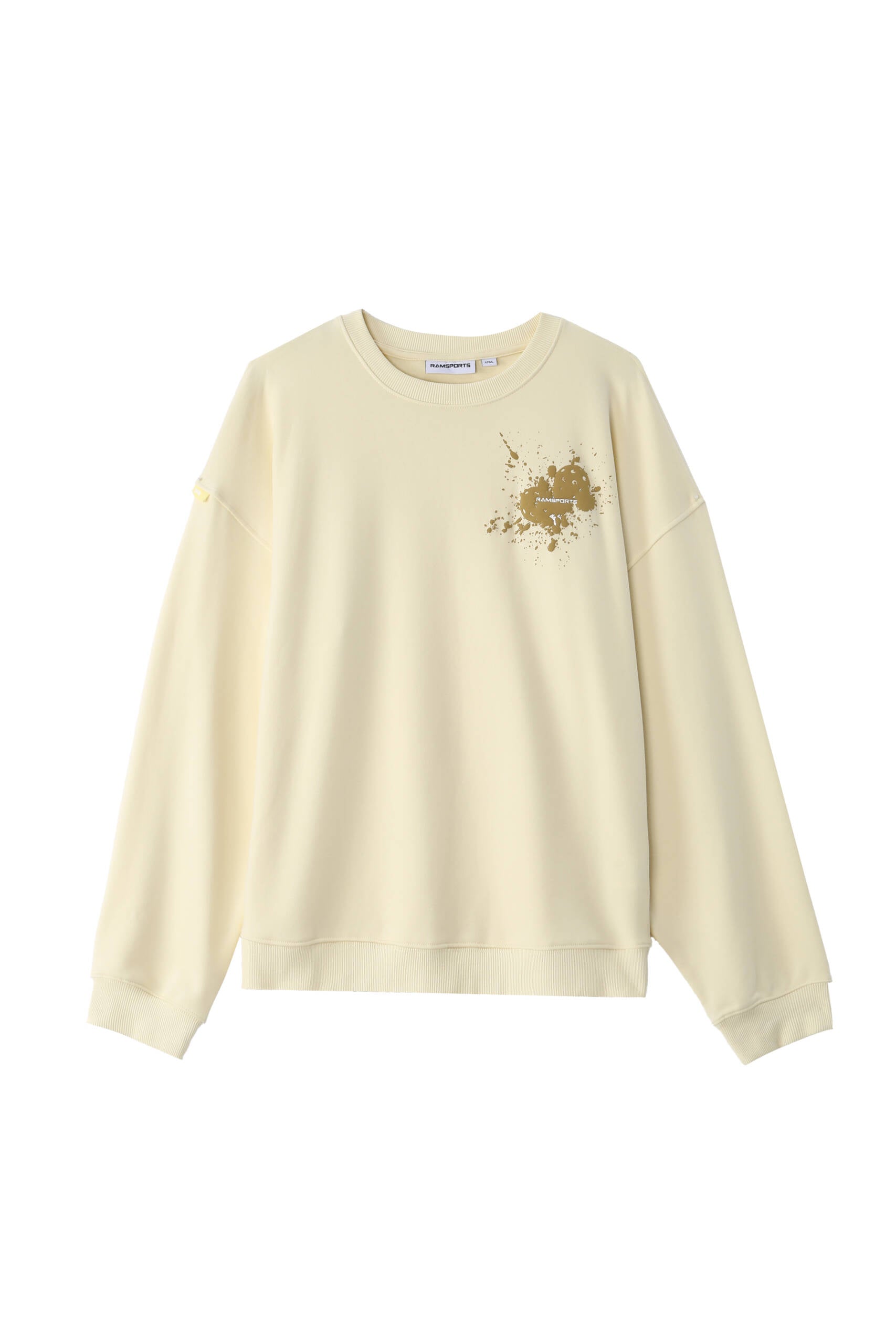 EcoSoft Logo 卫衣