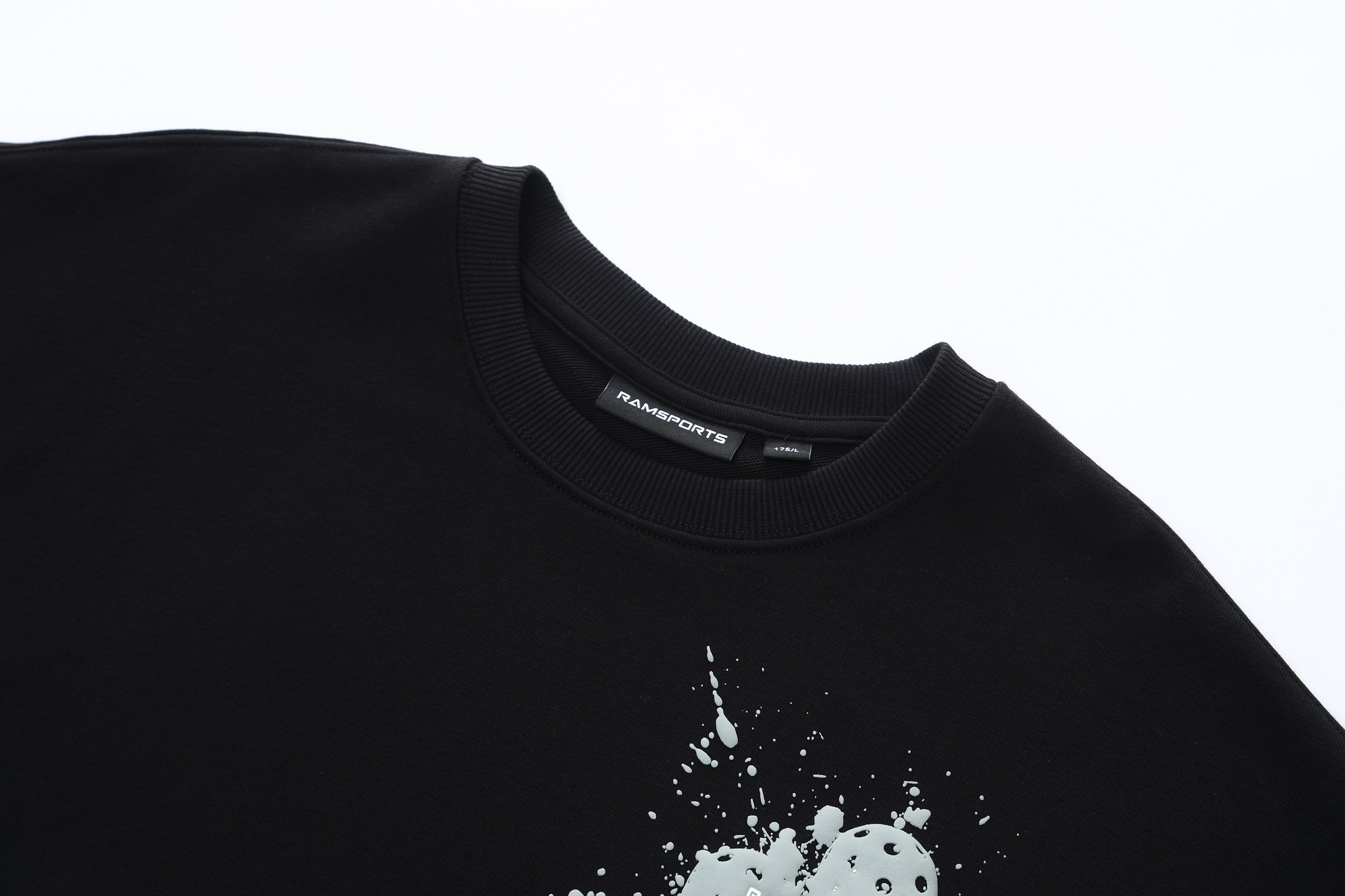 EcoSoft Logo 卫衣